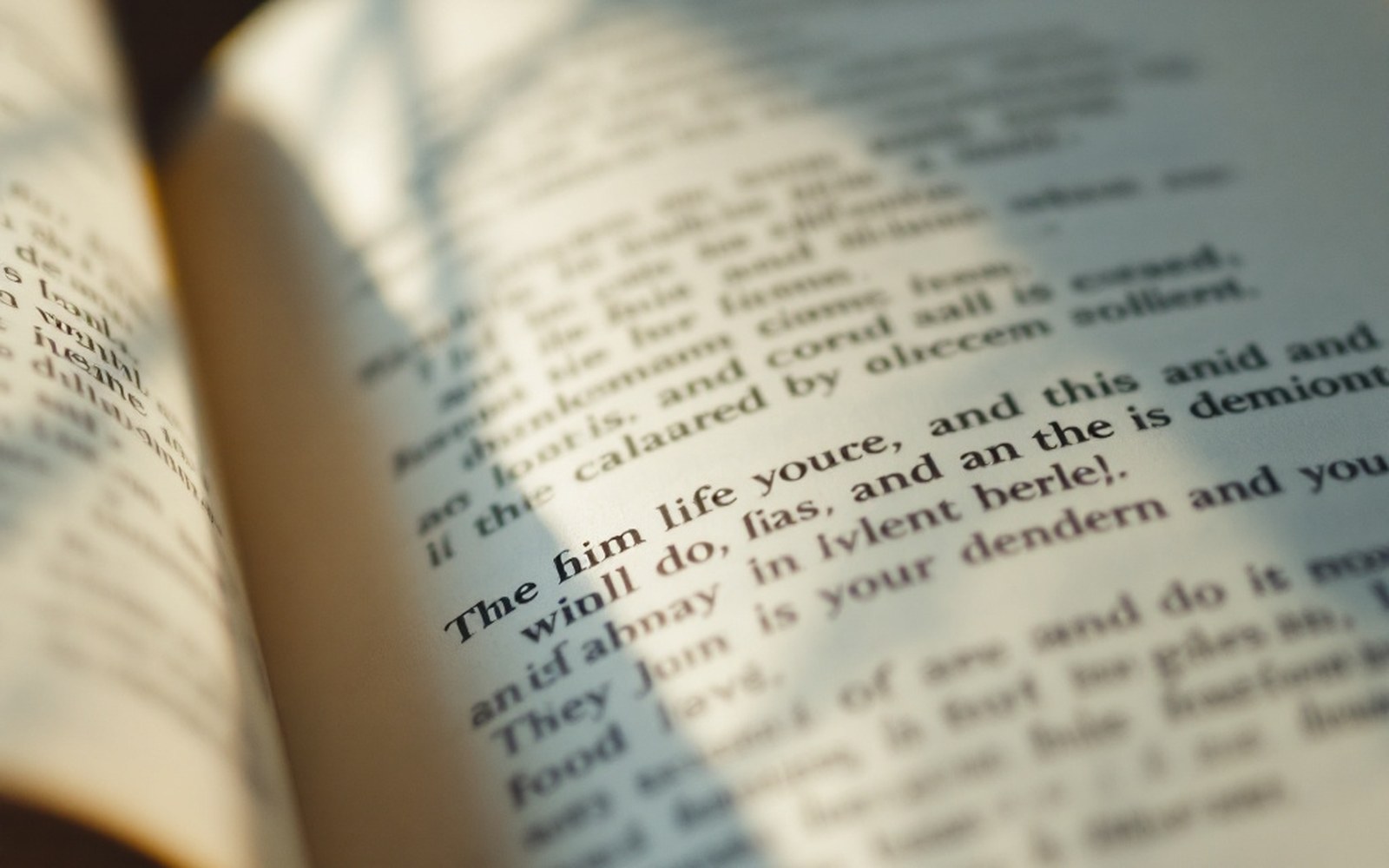 An extreme close view of a single printed line of verse, the rest of the page falling out of focus